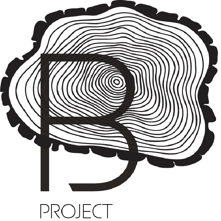 B-project logo